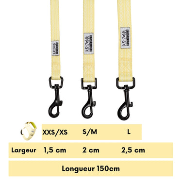 Laisse Nylon pour chien - Lemon